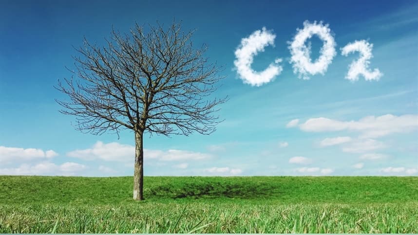 Superando obstáculos climáticos e alimentares: Rumo a uma sustentabilidade futura