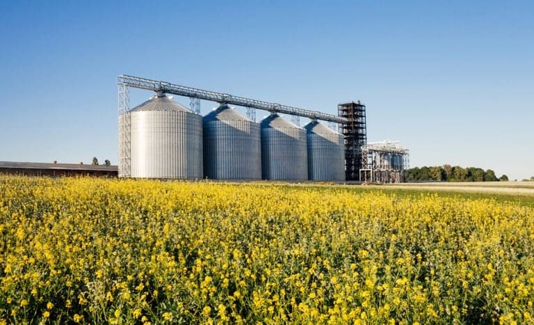 Desembolso do crédito rural ultrapassa R$ 347,2 bi em 10 meses do Plano Safra 2023/24