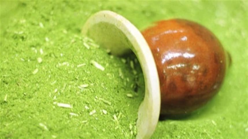 Erva-mate do Rio Grande do Sul cresce e atrai novas oportunidades