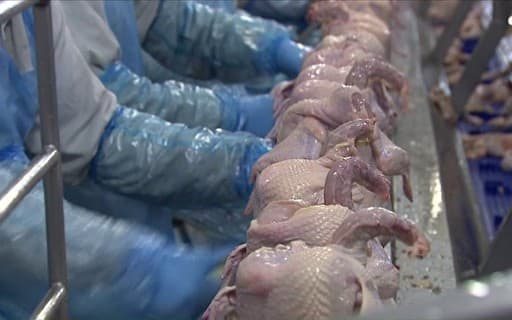 Ministério da Agricultura anuncia controle para carne exportada à Europa
