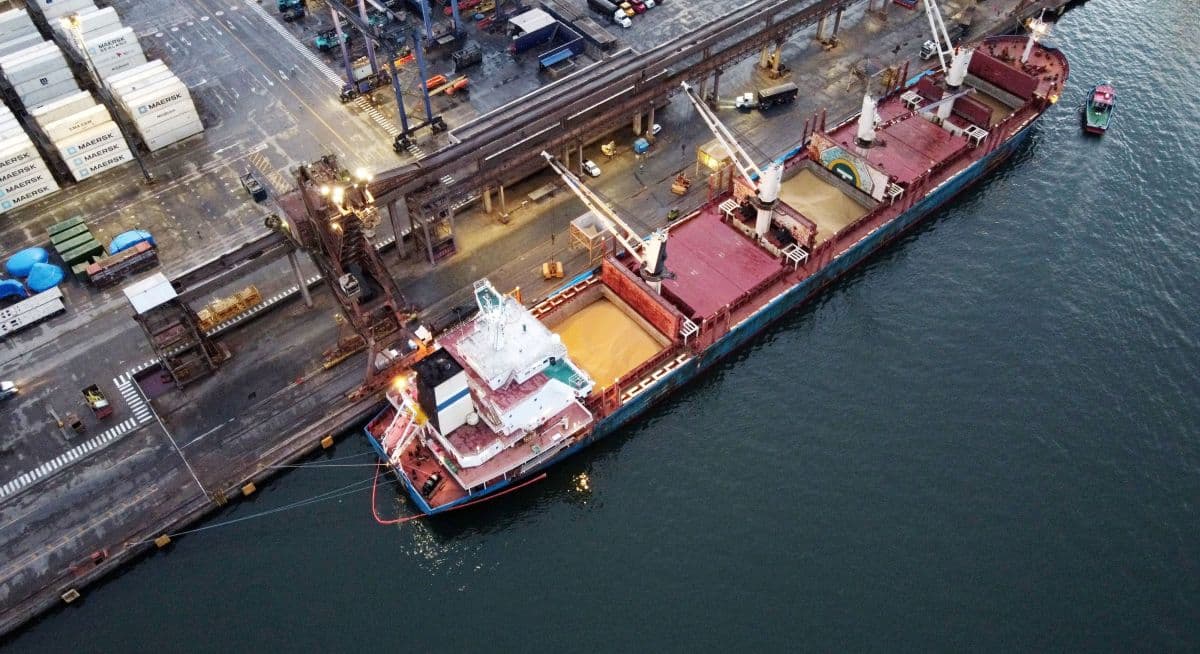 Soja atinge maior preço desde janeiro no Brasil com demanda crescente