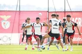 Benfica x St Gallen: Como e Onde Assistir ao Confronto