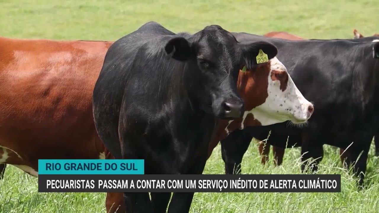 Alerta climático auxilia pecuaristas gaúchos na tomada de decisões