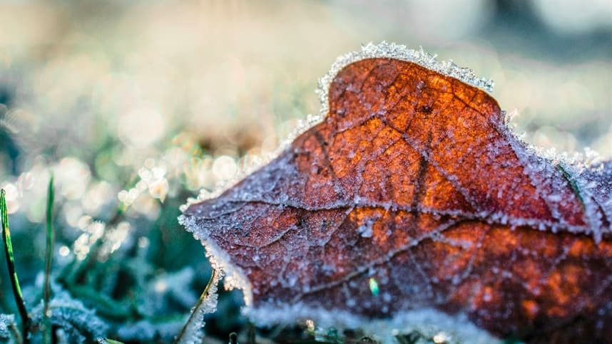Nova massa de ar polar traz frio intenso ao Brasil e chuvas na Sul