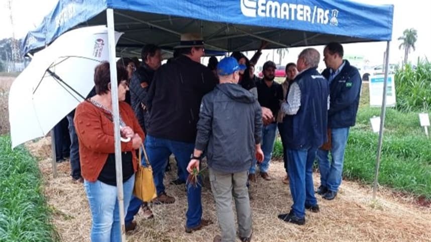 Días de Campo na Fenasoja 2026 traz inovações para agricultores