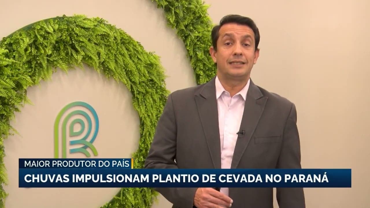 Paraná investe em cevada e espera safra recorde de 550 mil toneladas