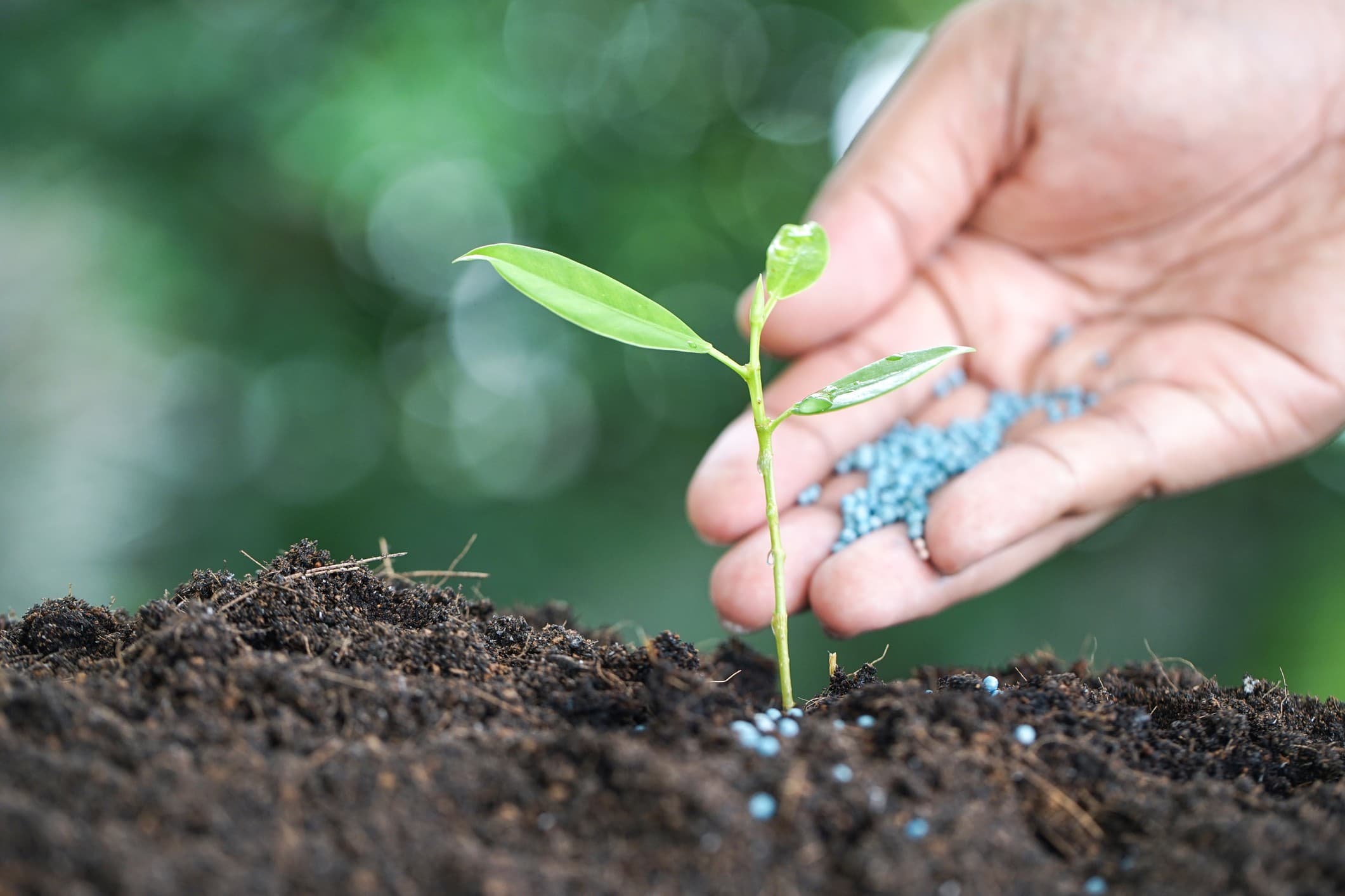 Brasil visa liderar produção de fertilizantes sustentáveis até 2030