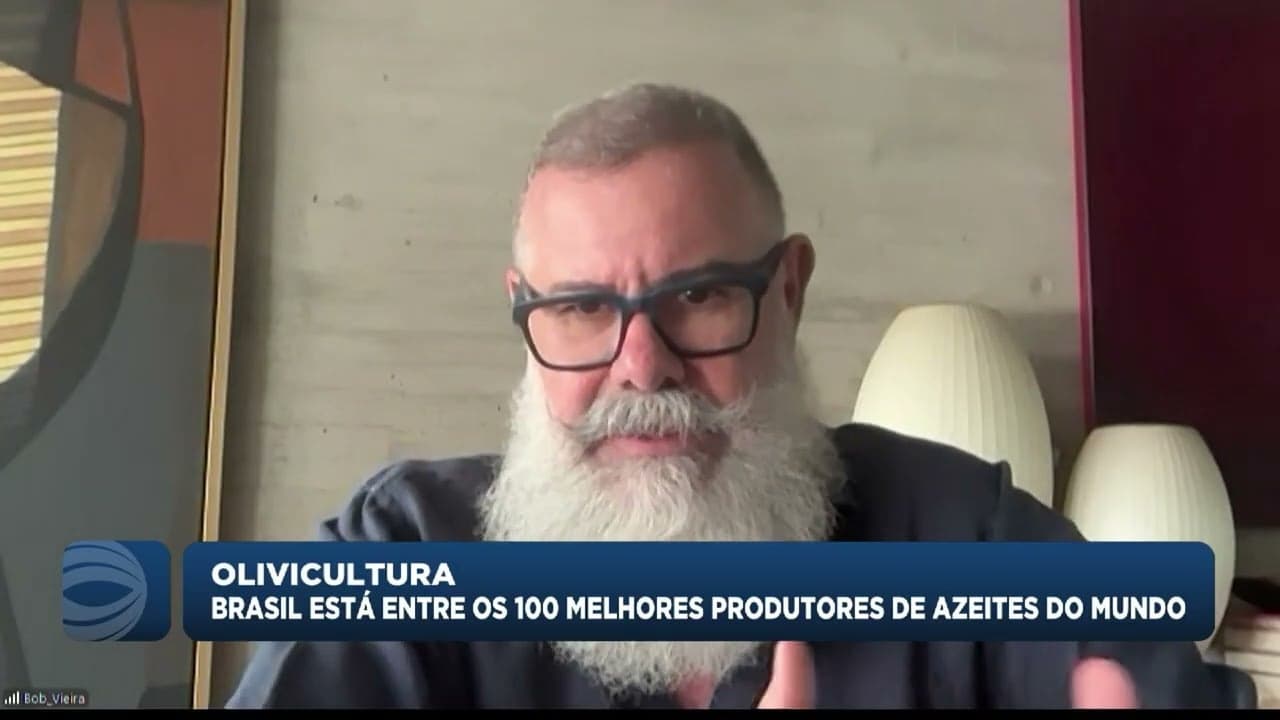 Brasil entre os 100 melhores produtores de azeite do mundo
