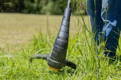 Ferramentas de jardinagem facilitam rotina em apartamentos e casas