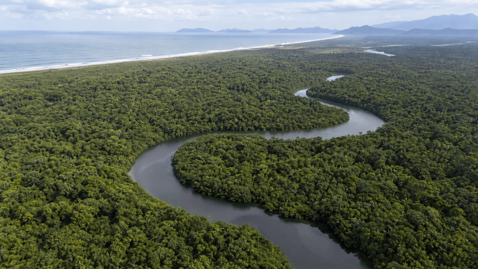 Aliança dos Povos Tradicionais é lançada em defesa da Mata Atlântica
