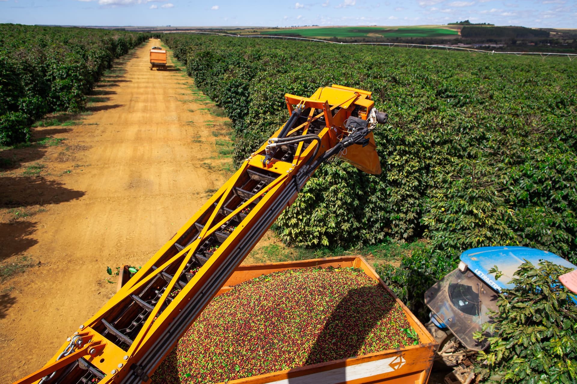 Cooxupé registra apenas 30,9% de colheita até julho de 2026