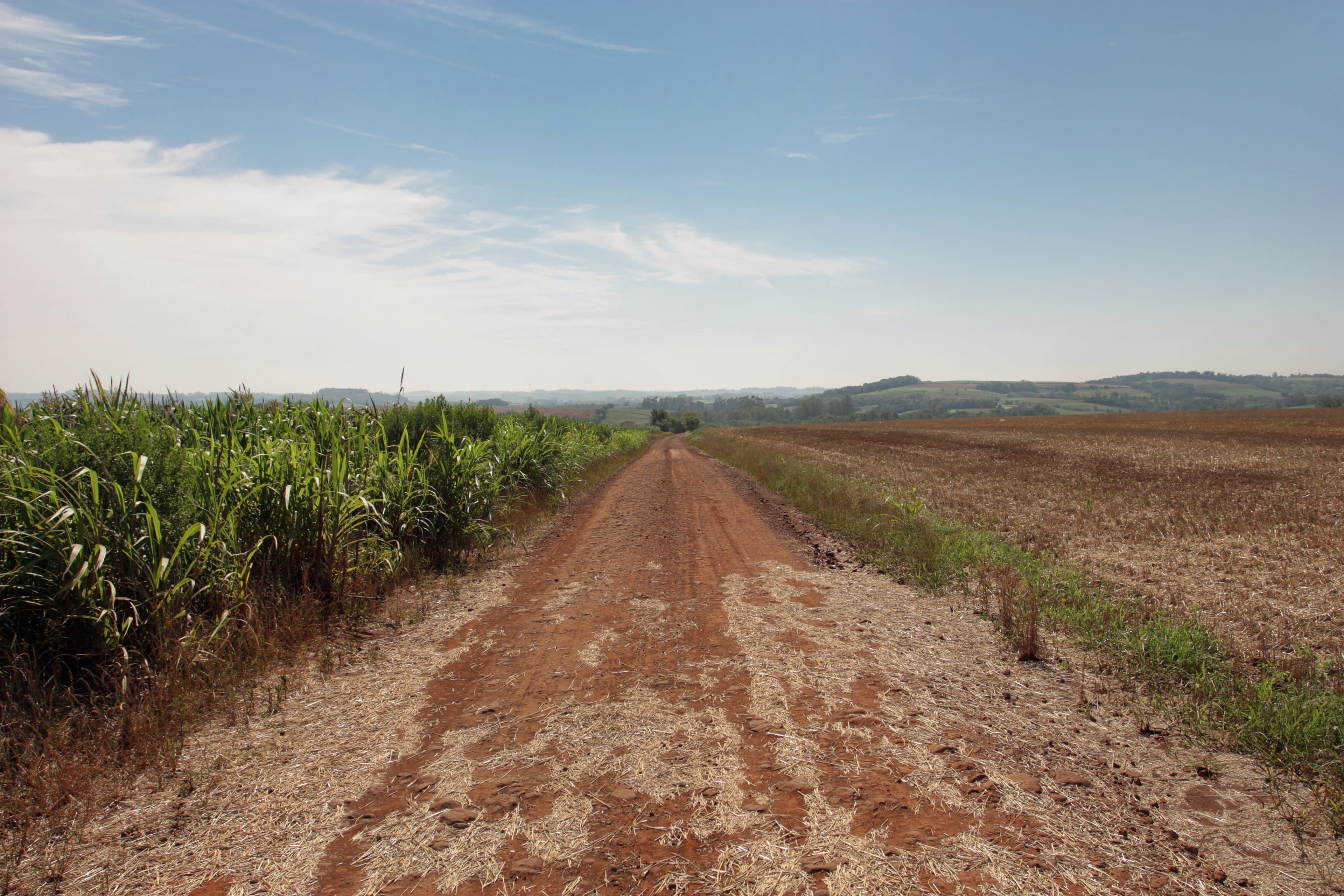 El Niño deverá afetar severamente a safra 2026/27 do Brasil