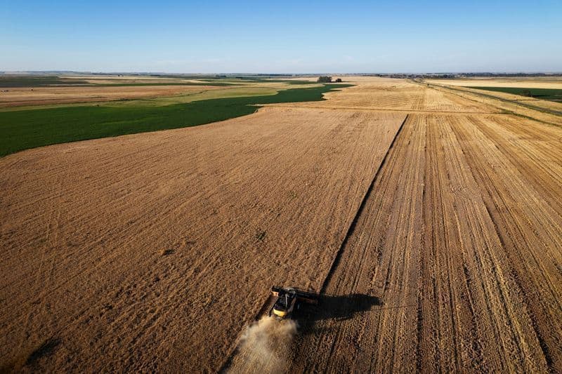 El Niño alivia inflação alimentar no Brasil e Argentina