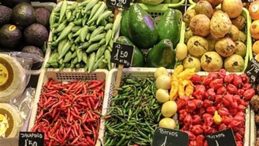 Sítio Fartura promove Dia de Campo para produtores orgânicos