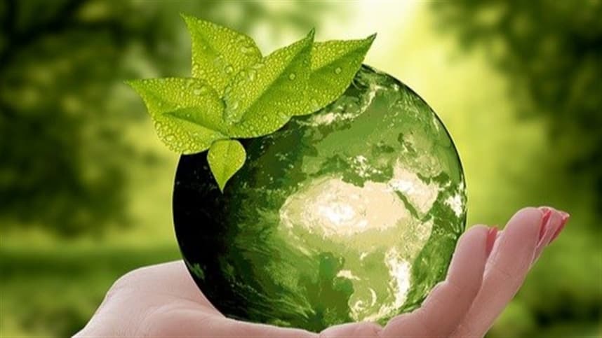 Sustentabilidade no Setor Sucroenergético: Rabobank Financia Aroeira