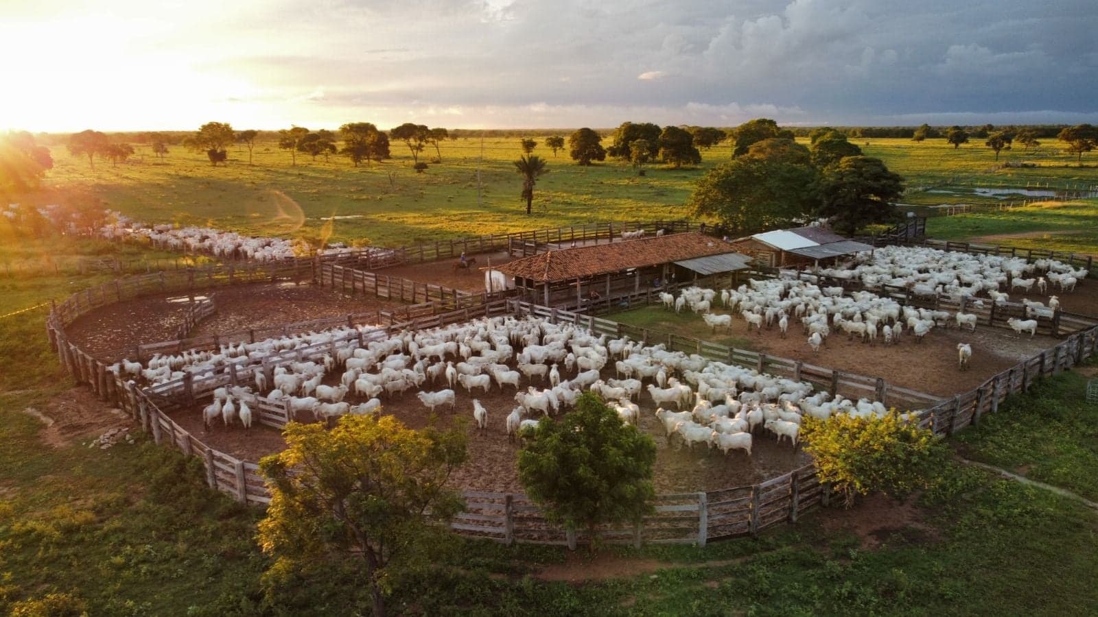 Fórum Internacional da Agropecuária acontece em Campo Grande, MS