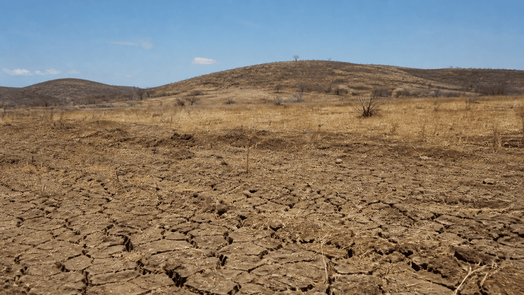 Desertificação pressiona comunidades nômades na Mongólia
