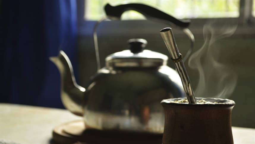 Preços da erva-mate se mantêm estáveis no Rio Grande do Sul