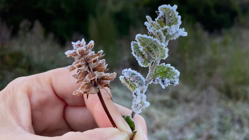 Belo Horizonte emite alerta de frio intenso com mínimas abaixo de 12°C