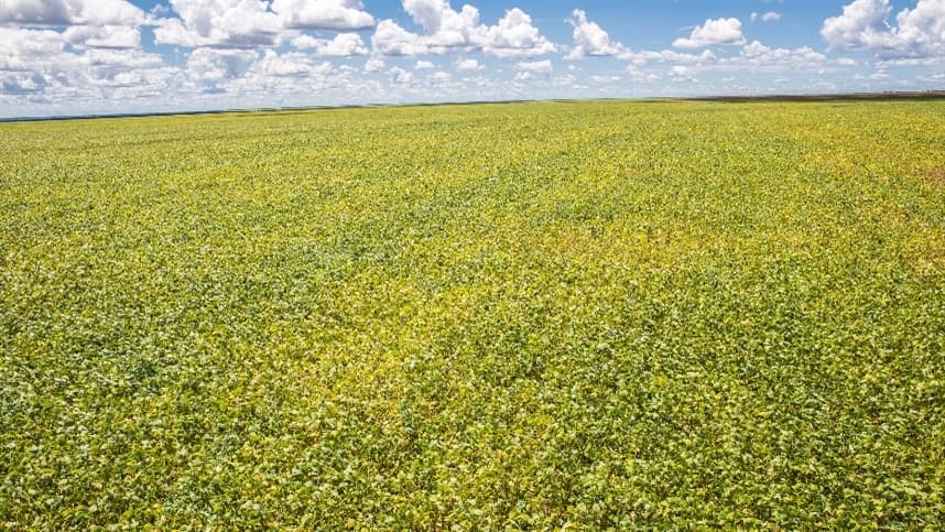 Mudanças no crédito rural garantem direitos aos produtores
