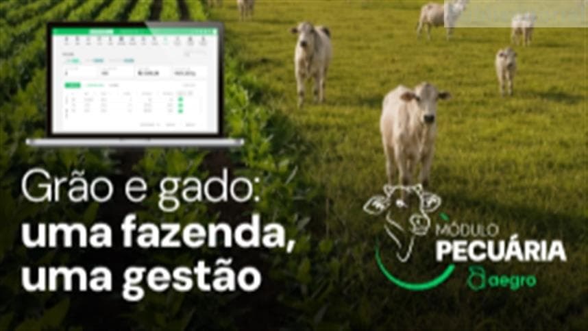 Aegro lança módulo para gestão financeira na pecuária de corte