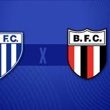 Onde Assistir Avaí x Botafogo-SP Ao Vivo: Horário e Escalação