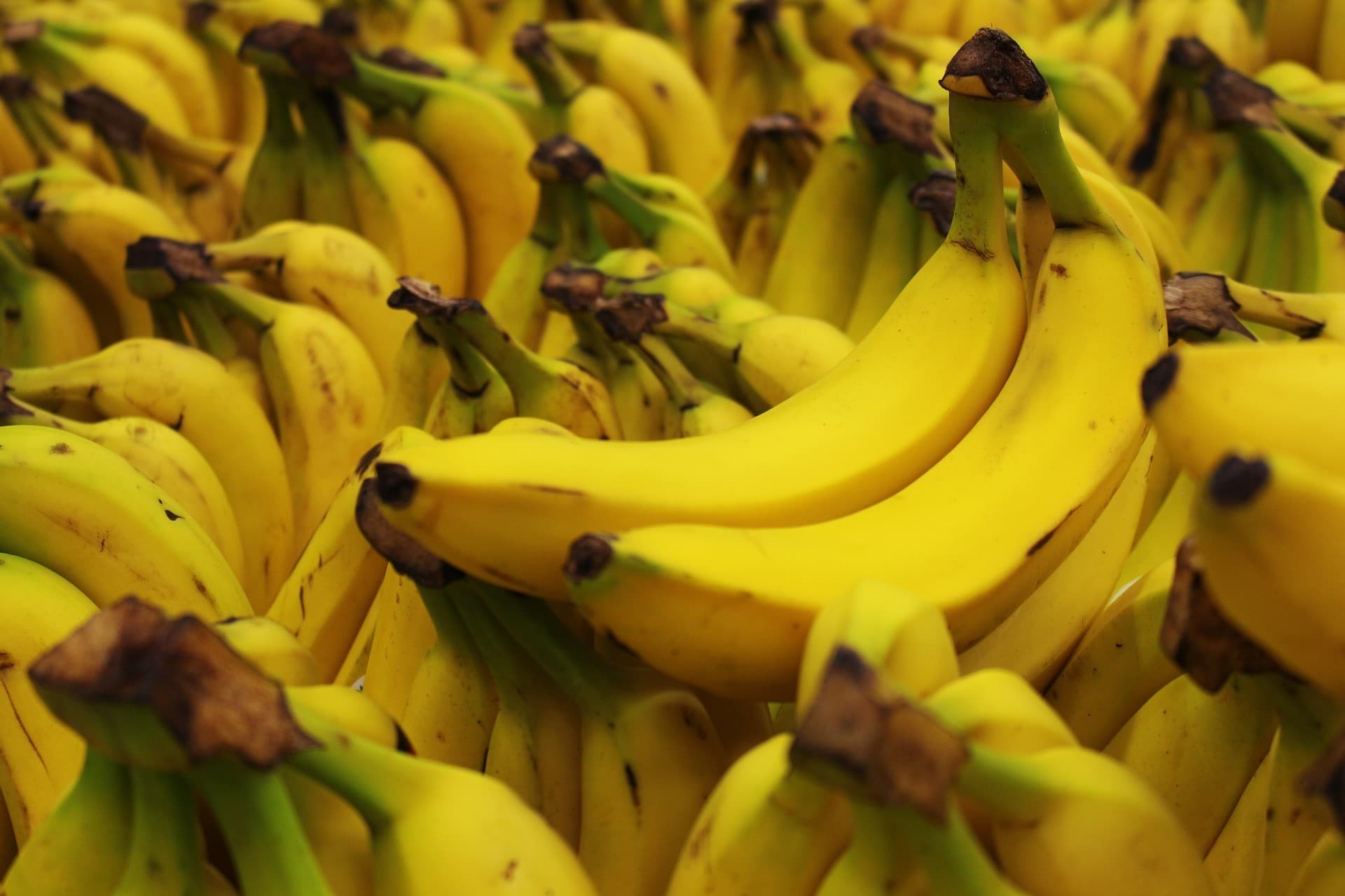 Produção de banana no Vale do Ribeira registra alta em 2026