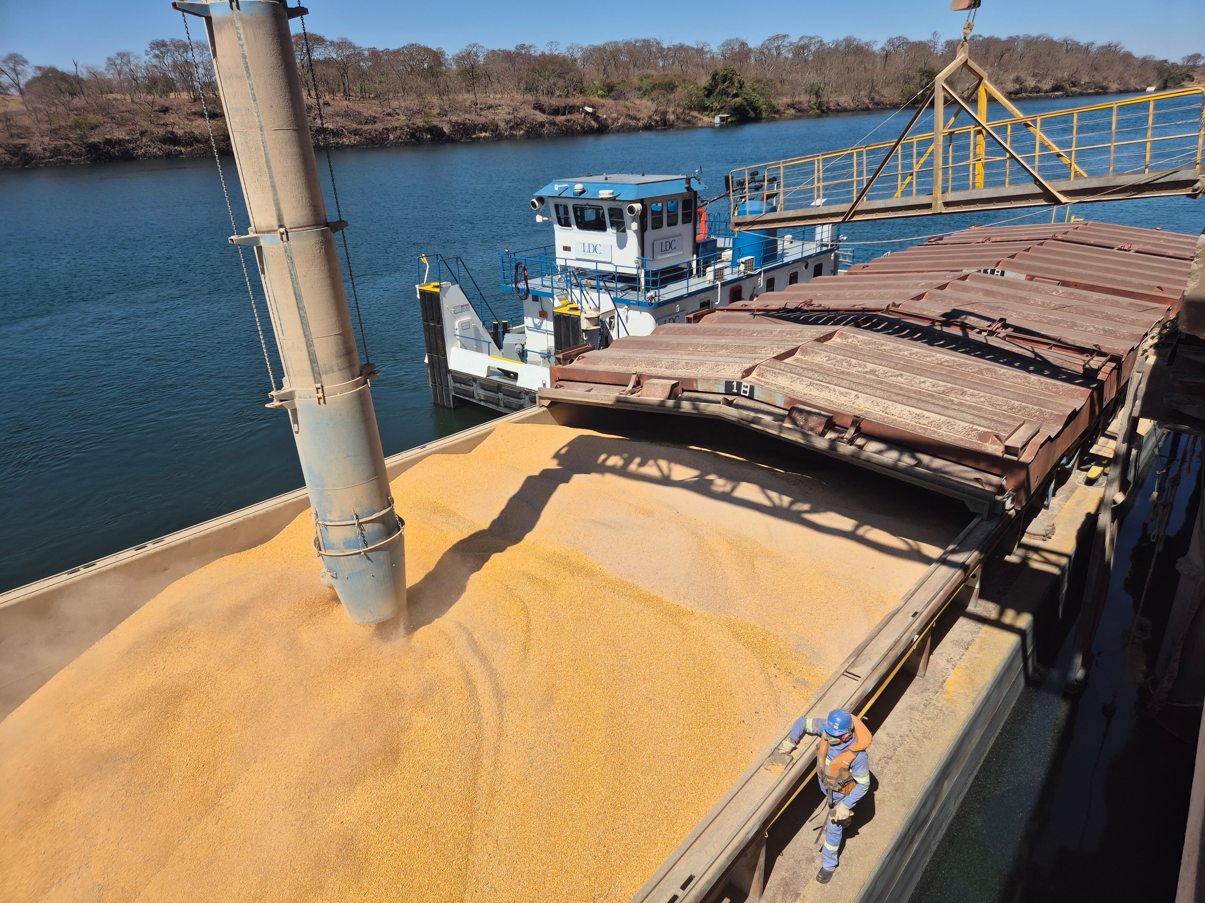 Exportações de milho do Brasil dobram em abril amid greves na Argentina