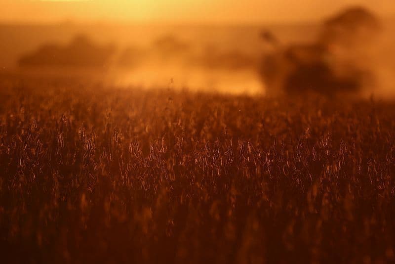 Farsul revela impacto de US$ 541 milhões no agronegócio do RS