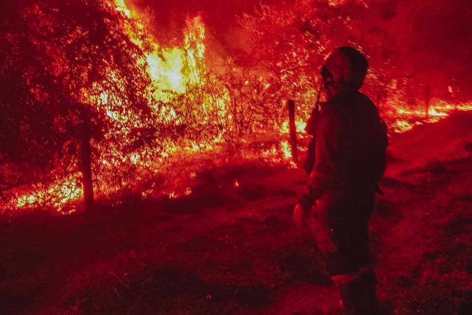 Brasil registra recorde de seis anos na área queimada e quase dobra em relação a 2023