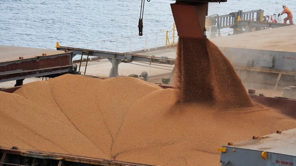 Paraná supera Mato Grosso em receita com exportação de soja
