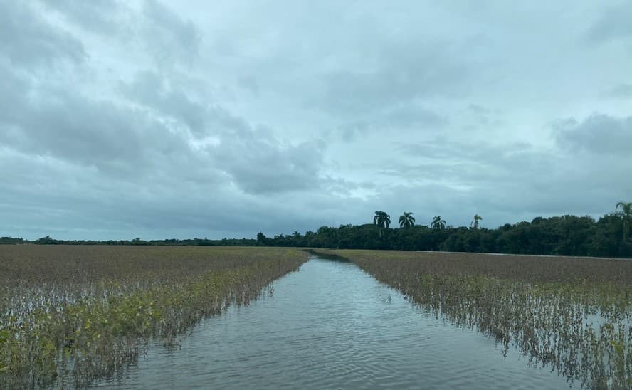 Governo do Rio grande do Sul deve anunciar suspensão temporária de dívidas rurais em breve.