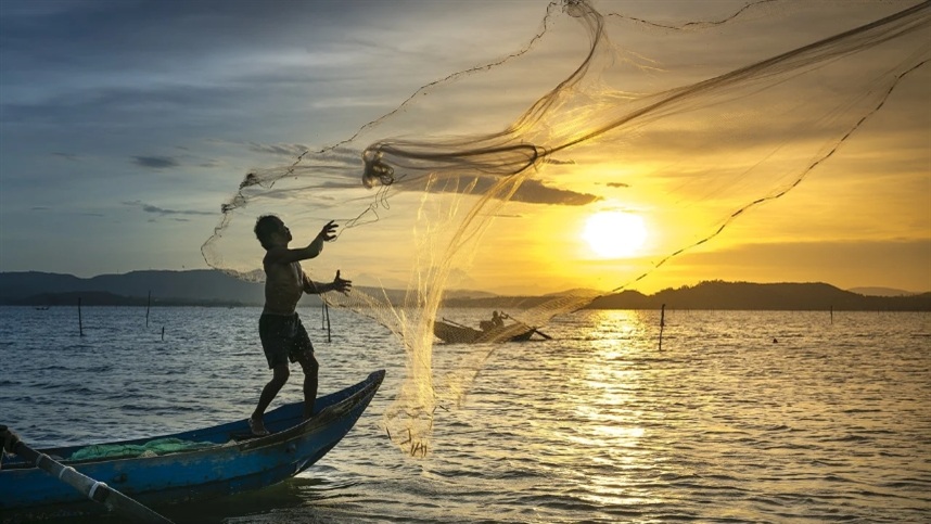 Brasil amplia exportação de pescados para a Índia