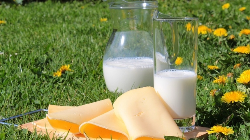 Produção leiteira apresenta crescimento significativo no ano de 2023