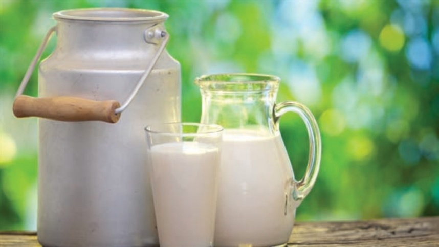 Produção de leite continua em crescimento em 2023