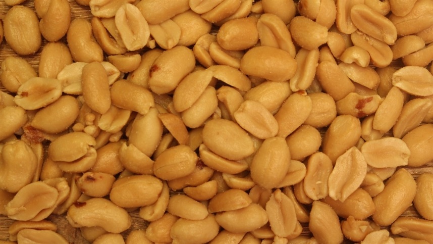 Produção de Amendoim Acompanha Evolução através de Sementes Certificadas