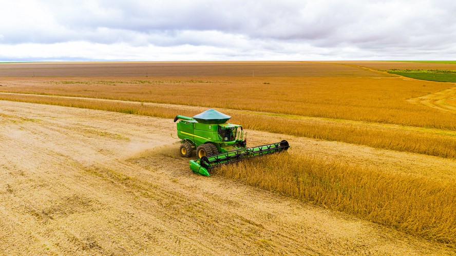 USDA mantém previsão de safra de soja robusta no Brasil apesar de desafios climáticos