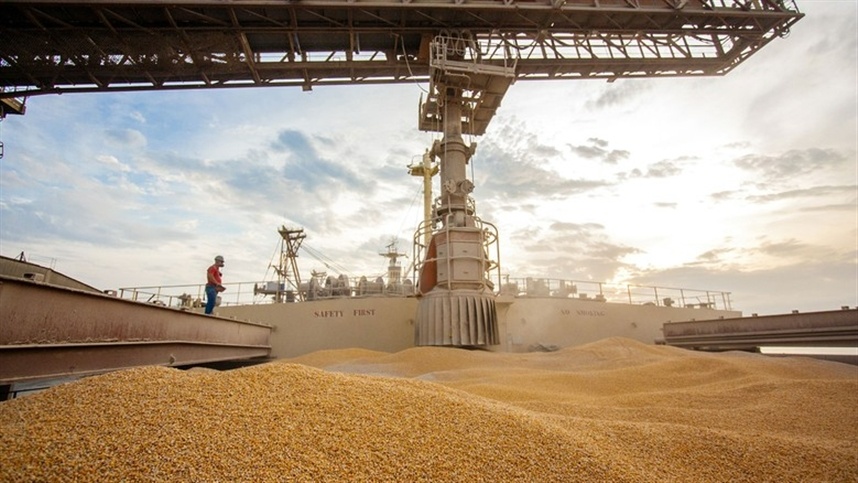 Diminuição dos prêmios na exportação de milho