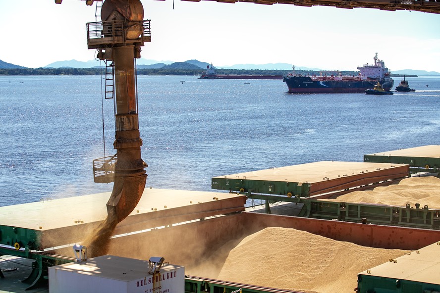 Expectativa de queda de 8% nas exportações de soja brasileira em maio, aponta Anec